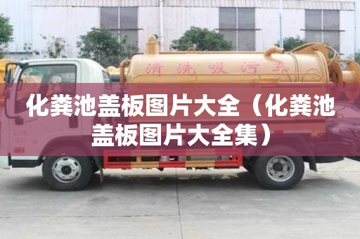 化糞池蓋板圖片大全（化糞池蓋板圖片大全集）
