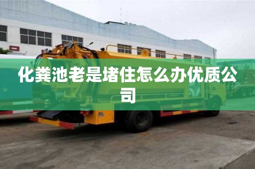 化糞池老是堵住怎么辦優質公司