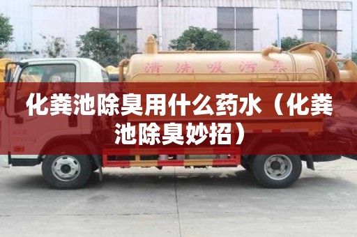 化糞池除臭用什么藥水（化糞池除臭妙招）