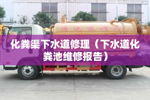 化糞渠下水道修理（下水道化糞池維修報(bào)告）