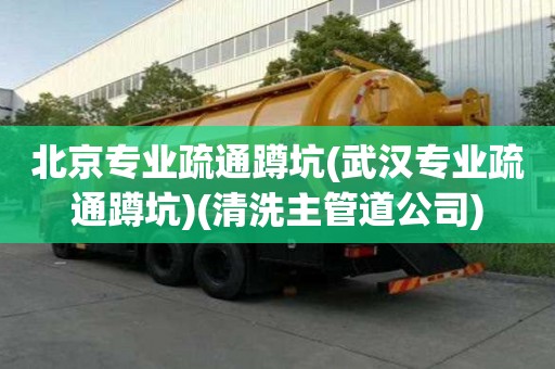 北京專業(yè)疏通蹲坑(武漢專業(yè)疏通蹲坑)(清洗主管道公司)