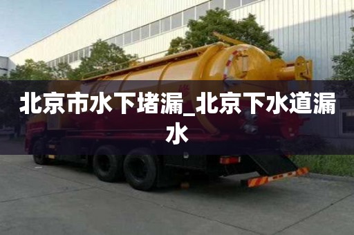 北京市水下堵漏_北京下水道漏水 北京市水下堵漏_北京下水道漏水