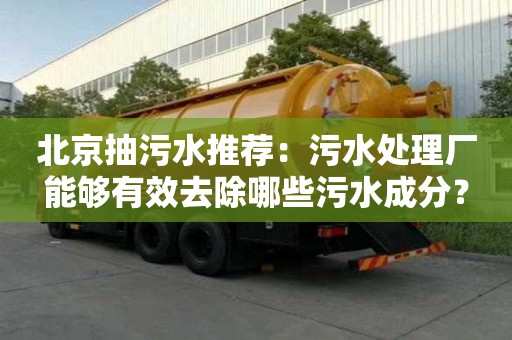 北京抽污水推薦：污水處理廠能夠有效去除哪些污水成分？