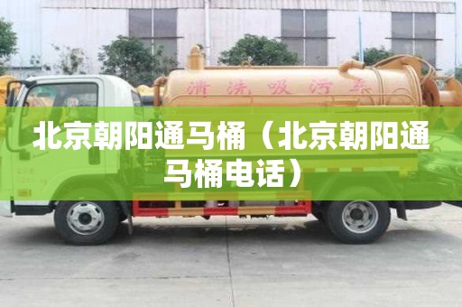 北京朝陽通馬桶（北京朝陽通馬桶電話）