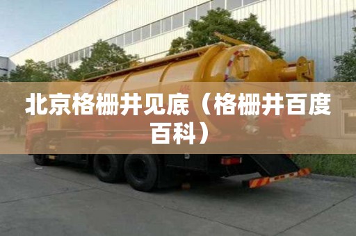 北京格柵井見底（格柵井百度百科）