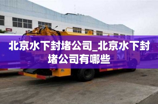 北京水下封堵公司_北京水下封堵公司有哪些