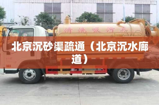 北京沉砂渠疏通（北京沉水廊道）