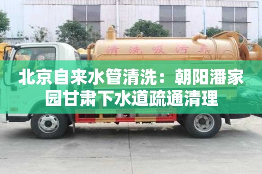 北京自來水管清洗：朝陽潘家園甘肅下水道疏通清理