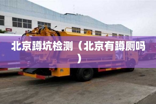 北京蹲坑檢測(cè)（北京有蹲廁嗎）