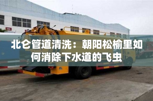 北侖管道清洗：朝陽松榆里如何消除下水道的飛蟲