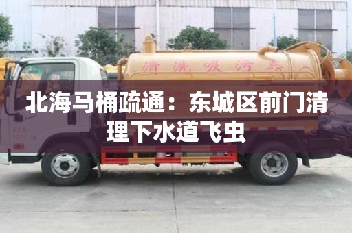 北海馬桶疏通：東城區前門清理下水道飛蟲