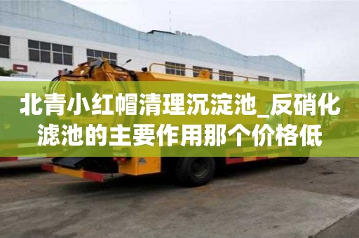北青小紅帽清理沉淀池_反硝化濾池的主要作用那個價格低