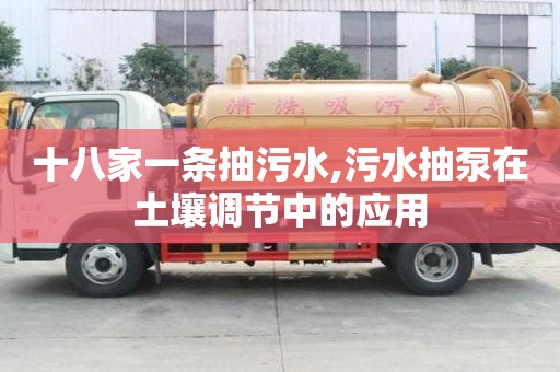 十八家一條抽污水,污水抽泵在土壤調節中的應用