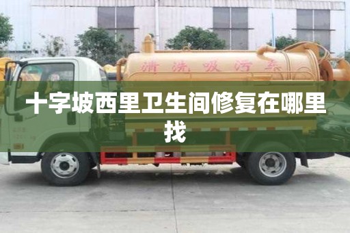 十字坡西里衛生間修復在哪里找