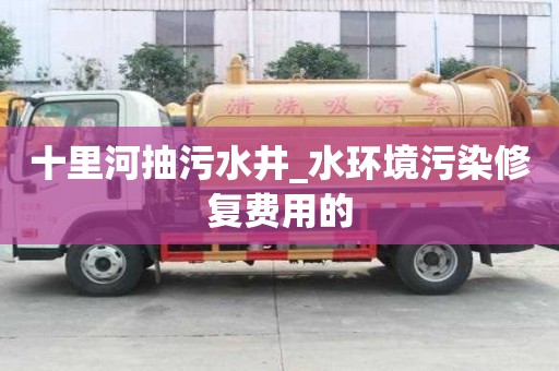 十里河抽污水井_水環境污染修復費用的