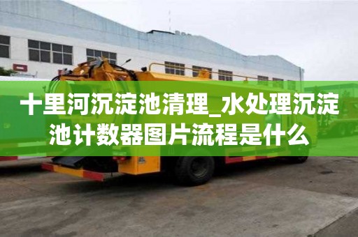十里河沉淀池清理_水處理沉淀池計數器圖片流程是什么