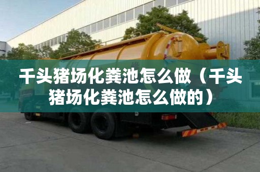 千頭豬場化糞池怎么做（千頭豬場化糞池怎么做的）