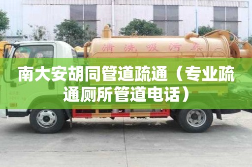 南大安胡同管道疏通（專業疏通廁所管道電話）