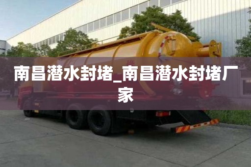 南昌潛水封堵_南昌潛水封堵廠家
