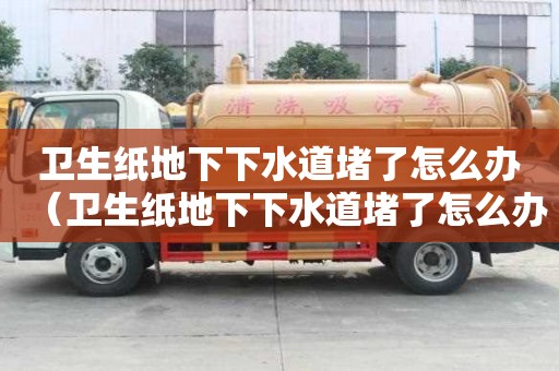 衛(wèi)生紙地下下水道堵了怎么辦（衛(wèi)生紙地下下水道堵了怎么辦視頻）