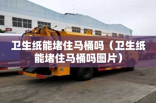 衛(wèi)生紙能堵住馬桶嗎（衛(wèi)生紙能堵住馬桶嗎圖片）
