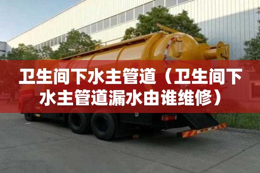 衛(wèi)生間下水主管道（衛(wèi)生間下水主管道漏水由誰維修）