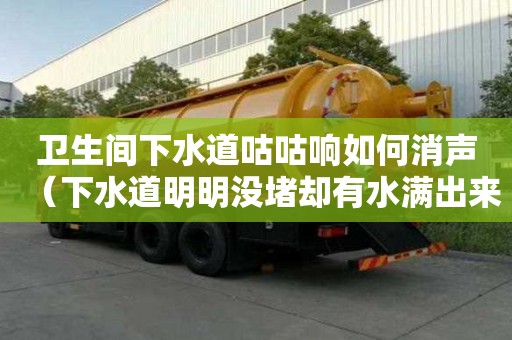 衛(wèi)生間下水道咕咕響如何消聲（下水道明明沒堵卻有水滿出來）