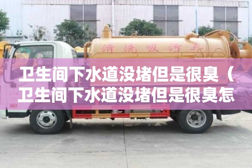 衛(wèi)生間下水道沒堵但是很臭（衛(wèi)生間下水道沒堵但是很臭怎么辦）