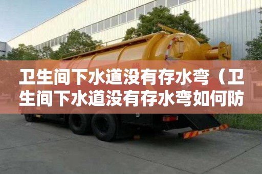 衛生間下水道沒有存水彎（衛生間下水道沒有存水彎如何防臭）