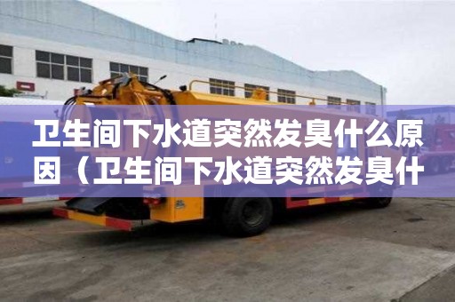 衛生間下水道突然發臭什么原因（衛生間下水道突然發臭什么原因造成的）