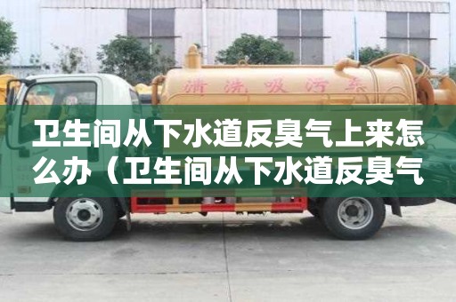 衛生間從下水道反臭氣上來怎么辦（衛生間從下水道反臭氣上來怎么辦呢）