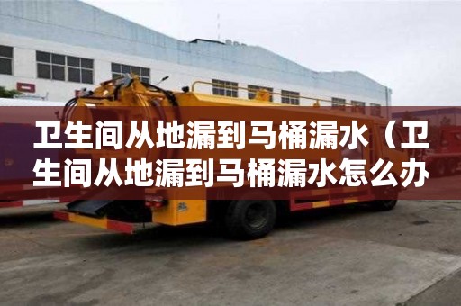 衛生間從地漏到馬桶漏水（衛生間從地漏到馬桶漏水怎么辦）
