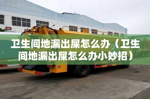 衛(wèi)生間地漏出屎怎么辦(衛(wèi)生間地漏出屎怎么辦小妙招) 衛(wèi)生間地漏出屎怎么辦(衛(wèi)生間地漏出屎怎么辦小妙招)