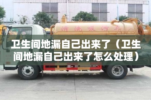 衛(wèi)生間地漏自己出來了（衛(wèi)生間地漏自己出來了怎么處理）