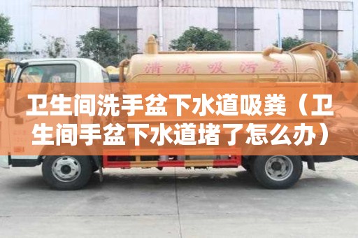 衛生間洗手盆下水道吸糞（衛生間手盆下水道堵了怎么辦）