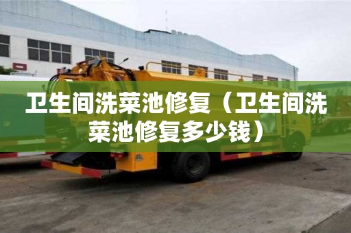 衛生間洗菜池修復（衛生間洗菜池修復多少錢）