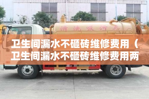 衛(wèi)生間漏水不砸磚維修費(fèi)用（衛(wèi)生間漏水不砸磚維修費(fèi)用兩家均攤嗎?）