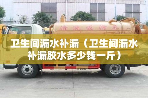 衛生間漏水補漏（衛生間漏水補漏膠水多少錢一斤）