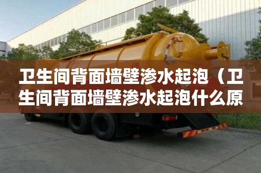 衛生間背面墻壁滲水起泡(衛生間背面墻壁滲水起泡什么原因) 衛生間背面墻壁滲水起泡(衛生間背面墻壁滲水起泡什么原因)