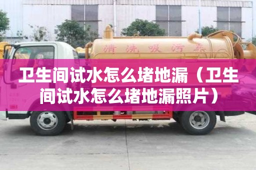 衛生間試水怎么堵地漏（衛生間試水怎么堵地漏照片）