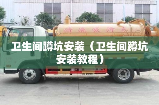 衛(wèi)生間蹲坑安裝（衛(wèi)生間蹲坑安裝教程）