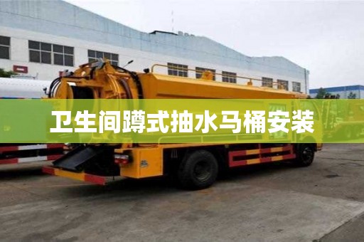衛生間蹲式抽水馬桶安裝