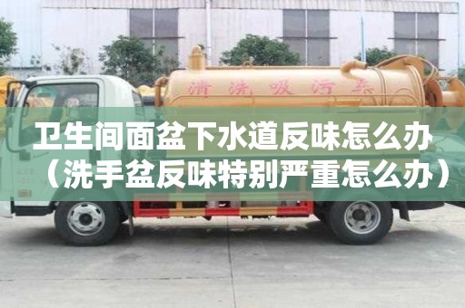 衛生間面盆下水道反味怎么辦（洗手盆反味特別嚴重怎么辦）