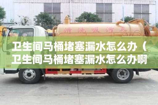 衛生間馬桶堵塞漏水怎么辦（衛生間馬桶堵塞漏水怎么辦啊）