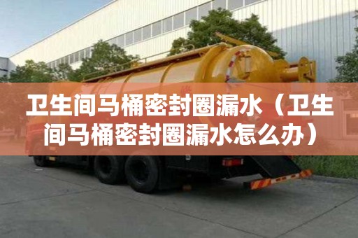 衛(wèi)生間馬桶密封圈漏水（衛(wèi)生間馬桶密封圈漏水怎么辦）