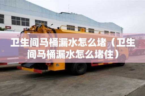 衛生間馬桶漏水怎么堵（衛生間馬桶漏水怎么堵住）