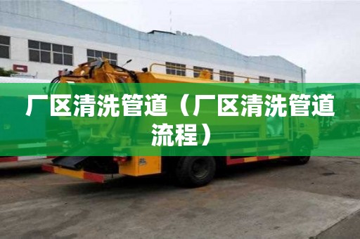 廠區(qū)清洗管道（廠區(qū)清洗管道流程）