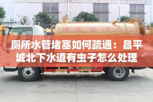 廁所水管堵塞如何疏通：昌平城北下水道有蟲子怎么處理