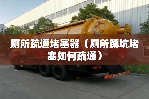 廁所疏通堵塞器（廁所蹲坑堵塞如何疏通）