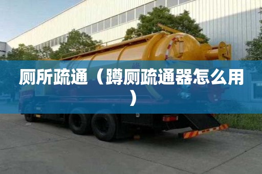 廁所疏通（蹲廁疏通器怎么用）